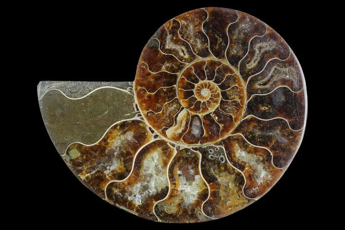 Agatized Ammonite Fossil (Half) - Madagascar #125062